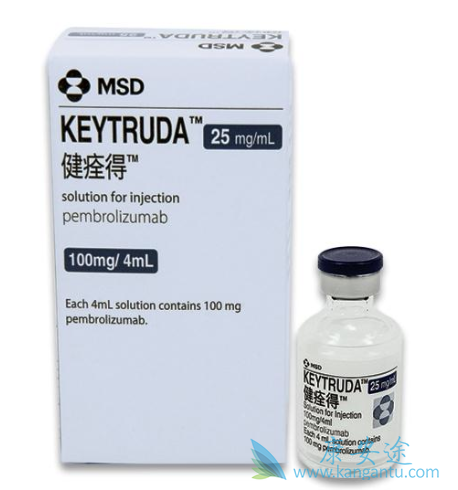 �������鵥��