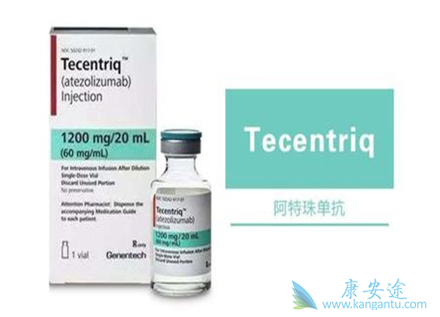 �����鵥��