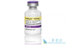 T-DM1�����������鵥������ʹ���������ٰ�����