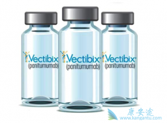 ���ᵥ�����������濵��δ����KRASҰ�������ڽ�ֱ��������OS