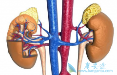 ��ķ�������ϰ��������������һ����������������