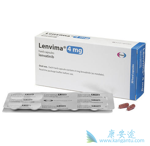 �ط�����