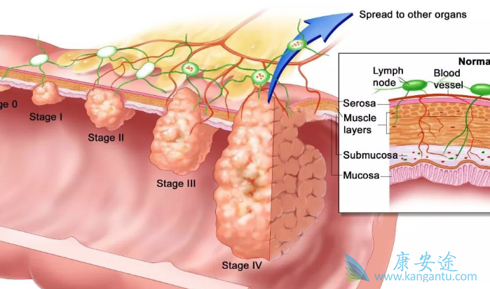 ֱ��������