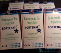 �������������׶Զ෢�Թ���������Ч��