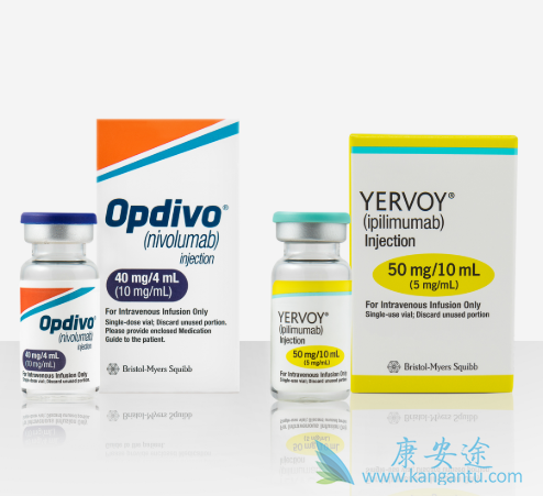 �������ȵ���