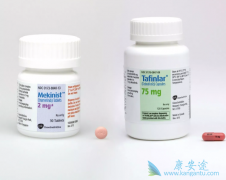 �����������������������Ʒ��Ǻ�ɫ���������Ƽ��İ���ҩ��