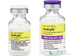 T-DM1�������鵥������ĸ��������ٰ�����Ч�ã�