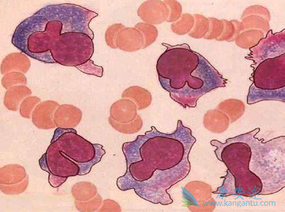 �෢�Թ�����֢״