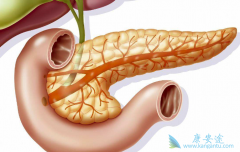 �������������ٰ��������������