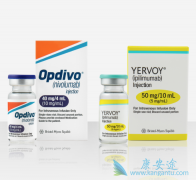 �����Ʒ�Yervoy����Opdivo����������Щ��֢��