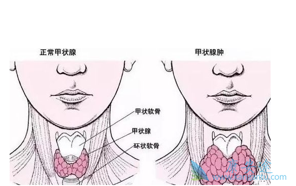 ��״������