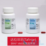 �����������������᷽����ʹ���֮һ�Ļ��߻��5�꼲���Ŀ���