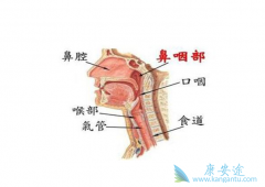 �ٴ��Ͽ����ڱ��ʰ����Ƶķ�������Щ��