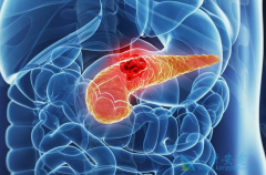 �ϸ����ʺ�ʳ�������п��������ٰ���֢״