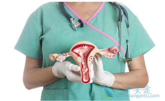 �ѳ�������