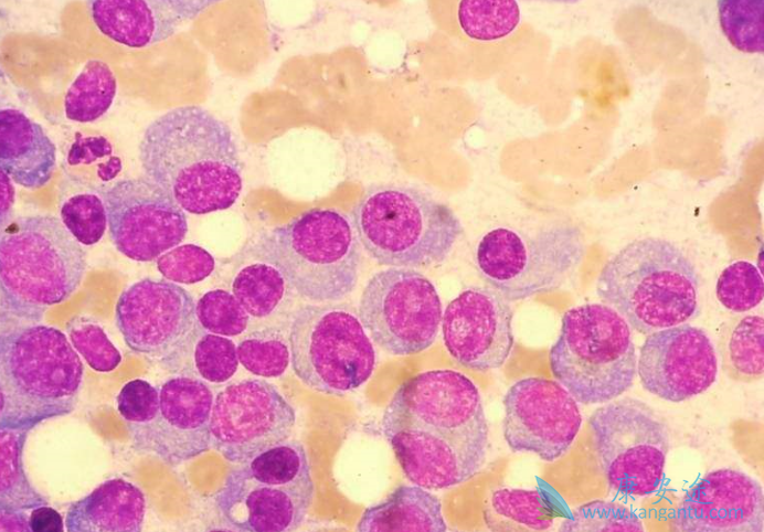 �෢�Թ�����