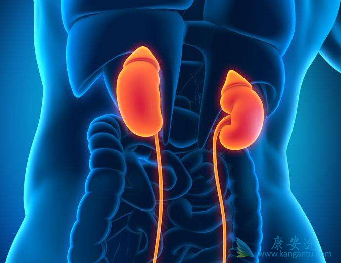 ����ת��