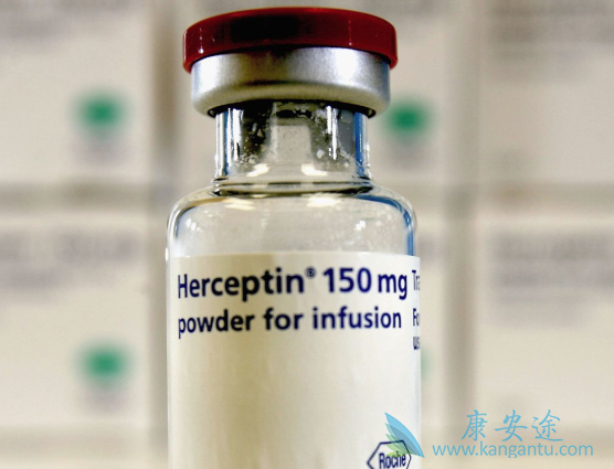 HER2���������ٰ�