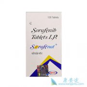 ��������(Sorafenib)���ӳ������Ի򸴷���Ӳ��ά�������޽�չ����