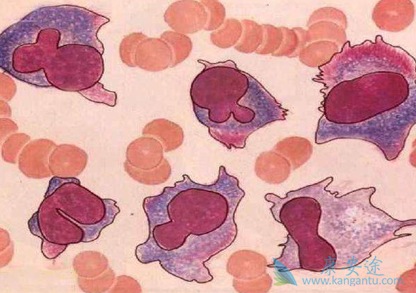 �෢�Թ���������