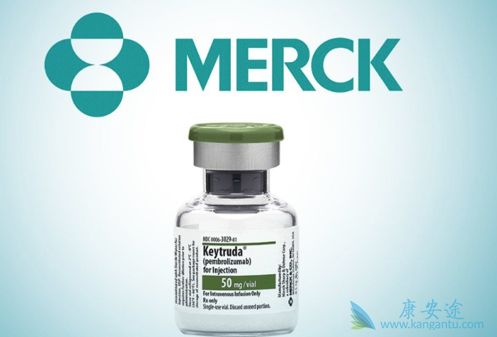 ת���Թ�����