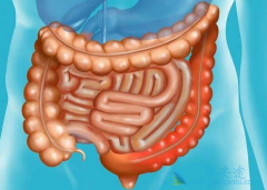 ߻�����Ϊһ��������ʧ�ܵĽ�ֱ���������ṩ���������Ʒ���