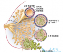 ���ٰ���������λ��ֵģ���ͬ�����к��ص㣿