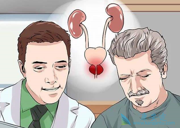 ������Ƭ