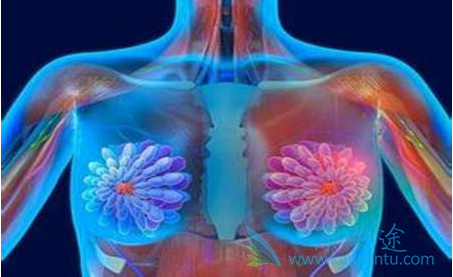 ���ٰ����κ���