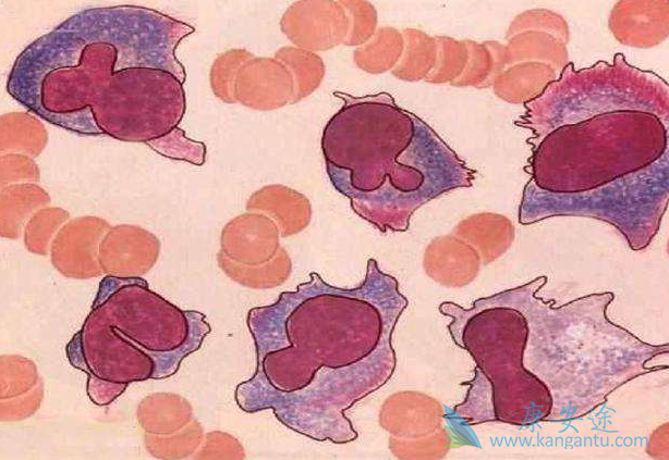 �෢�Թ�����֢״