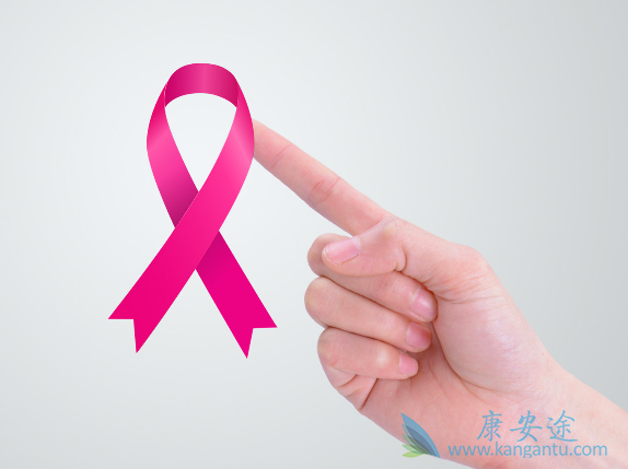 吡咯替尼 吡咯替尼