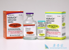 ��ɫ����ʹ��Opdivo����Yervoy���Ƶ���Ч��ô����