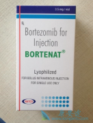 EGFR�����Ǵٽ���������(Bortezomib)��ҩ�Ĺؼ�����