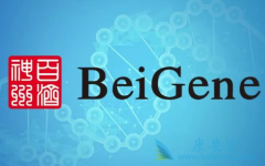 ����BTK���Ƽ�������������ƻ��Ͼ��򵰰�Ѫ֢��