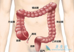 ߻���������ת���Խ�ֱ�����ɻ�����������������˫�ػ���