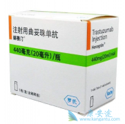 ���������鵥��/����͡��HER2�������ٰ����Ʒ���