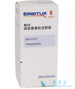 ����������(erbitux)ά�����ƽ᳦���õ�����ָ��һ���Ƽ�