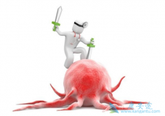 �������ܷ�Ϊ�����ܰ��������õ����棿