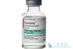 ����Сϸ���ΰ�����ʹ��PD-L1���Ƽ�Tecentriq������