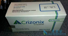 ��������(crizotinib)��ҩ���Ʒΰ���ת�Ƶ���Ч����������