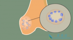 �ͼ���˫�������ܷ���Ч�������ٰ���ת�Ʒ��գ�