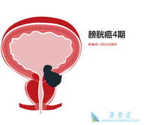 ����ҽ�Ƹ�������װ����Ʒ���������Щ