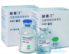 ��ν��������鵥��(Herceptin)����ҩ�ɱ���