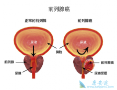 �Զ�������Ϊ���Ļ�������ʺ��ҹ�ǰ���ٰ�������