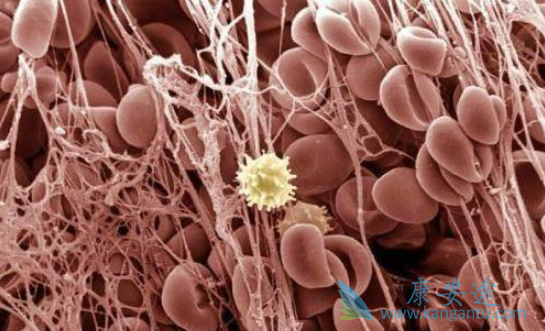 ������ά��