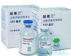 ����͡(Herceptin)���ƿ����������й�HER2+ת����θ�������������