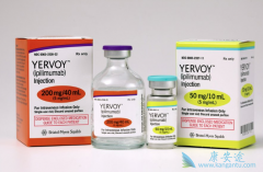 ���߼������Ƽ������ϸ�����ӷ籩������