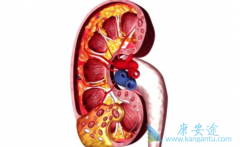 �������������������ڻ�����Ч���Ұ�ȫ������