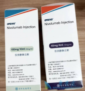 ��������ŷ���ֿ������ڷΰ����ߵĶ���������