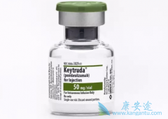 �����(Keytruda)����������֢���ƴ����˸����Եı仯
